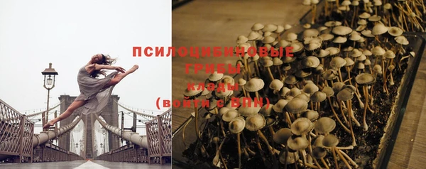 круглые Снежногорск