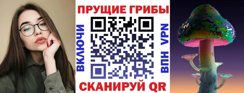 где купить наркоту  Буйнакск  маркетплейс клад  Псилоцибиновые грибы прущие грибы 
